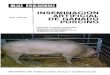 INSEMINACION ARTIFI CIAL DE GANADO PORCINO · INSEMINACION ARTIFICIAL DE GANADO PORCINO El avance logrado en España en la producción porcina, lleva consigo varios cambios …