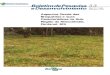 Aspectos Gerais das Região da Nhecolândia, Pantanal, …€¦ · Cobertura do solo Conclusões ... Pantanal, MS, tais como, identificação das ... calopogônio, kudzu. Utilização