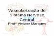 Vascularização do Sistema Nervoso Central - Fonovim · de Willis, de onde saem as principais artérias para a vascularização cerebral. Profª Viviane Marques . Profª Viviane