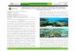 onitoreo del coral cuerno de alce (Acropora palmata) en la ... · BIOLOGÍA Descripción de la especie: para la Reserva, se ... orientación y extensión de las ramas, e incluso en