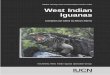 Compiled and edited by Allison Alberts Iguanas … · Compiled and Edited by Allison Alberts IUCN/SSC West Indian Iguana Specialist Group. ... Gina Guarnieri, London, UK The Nature
