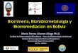 Biomineria, Biohidrometalurgia y Biorremediacion en … · Unidad de Biotecnologia Microbiana – Area de ... 2010:3Fuente: Google Earth, 2011 Fuente: FIDES Noticias, 2009 ... Tabla1: