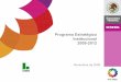 Programa Estratégico Institucional 2009-2012 - gob.mx · FODA Fortalezas Diferentes grupos de población en el padrón (niñas y niños de 6 ... del producto terminado. Programa