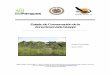 Estado de Conservación de la Zona Reservada Güeppíiii) Perfil ZR Gueppi (Peru).pdf · de Ecuador y con el Parque Nacional La Paya de Colombia. ... una zona de transición entre
