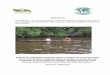Ministerio del Ambiente y de los Recursos Naturales - … I... · de las comunidades indígenas Warao y criollas al manejo forestal sostenible de los bosques de ... y de los Recursos