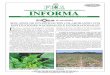 FUNDACIÓN HONDUREÑA DE INVESTIGACIÓN … · mejorada de funguicidas para el control de tizón tardío (Phytophthora infestans) ... ción para el control de coyolillo (Cyperus rotundus)