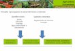 Agricultura Sustentável - 5ª Lógica · Agricultura Sustentável e Desenvolvimento Rural Gestão de pragas e doenças. Armadilhas e atrativos (alimentares e feromonas). Auxiliares