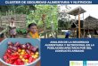 CLUSTER DE SEGURIDAD ALIMENTARIA Y NUTRICION · analisis de la seguridad alimentaria y nutricional en la poblacion afectada por del conflicto armado cluster de seguridad alimentaria