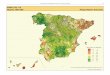 Atlas Municipal de Mortalidad por Cáncer en España … Municipal de... · Atlas Municipal de Mortalidad por Cáncer en España 1989-1998 59. Created Date: 8/31/2007 1:27:16 AM