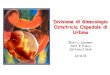 Divisione di Ginecologia Ostetricia Ospedale di Urbino infiammatorie... · • Le malattie croniche intestinali (MICI) comprendono: • la Rettocolite Ulcerosa, • il Morbo di Crohn,