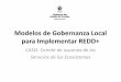 Modelos de Gobernanza Local para Implementar REDD+ · proyecto REDD+ USUARIOS DEL ÁREA PILOTO COMPROMETIDOS USUARIOS CON PROYECTOS Y/O ACTIVIDADES REDD+ MARCOS DE …