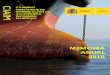 COMISIÓN CIAIM PERMANENTE DE INVESTIGACIÓN DE ACCIDENTES E ... · Los datos de accidentes e incidentes marítimos contenidos ... Procedimiento de investigación de accidentes 