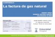 CONFERENCIA La factura de gas natural - …personal.unizar.es/jmyusta/wp-content/uploads/2015/12/GENERAL... · La factura de gas natural . ENERGY WEEK . ... El 5 de marzo de 2011