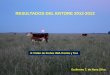 X I Taller de Preñez INIA Treinta y Tresdestacados.inia.org.uy/images/pres/irnmaf3dfqlenafuigo3.pdf · – Monta natural con toros de alta capacidad de servicio al 3% ... PESOS PROMEDIOS