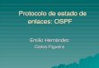 Protocolo de estado de enlaces: OSPF a los vecinos El protocolo HELLO se usa para determinar el estado de los enlaces con los vecinos Cada enrutador OSPF envía un paquete HELLO por