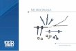 NEUROCIRUGIA - INNOMED S.A. - Innovaciones …innomedsa.com/files/Innomed_Neurocirugia.pdf · MATERIAL: Titanio para implantes Diseño Anatomico en 4 medidas: 8 - 10 - 12 14mmVisible