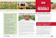 University of Nebraska–Lincoln Agronomy & … 27_2013_AgronHort... · increasing need for food, said Sally Mackenzie, Department of Agronomy & Horticulture and School of Biological