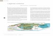 Lagunas costeras - seduma.yucatan.gob.mx · Diagrama conceptual de las principales características de las lagunas costeras de Yucatán. Contexto Físico I Biodiversidad y Desarrollo