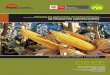 PRECIOS EN MERCADOS INTERNACIONALES DE …siea.minagri.gob.pe/siea/sites/default/files/cotizaciones_internac... · inventarios mundiales de arroz para el periodo 2012-2013. La producción