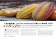 Fotografía: Archivo El Comercio · bruja, hace unos 100 años, engendró la introducción masiva de cacao extranje-Origen de la domesticación del y su uso temprano en Ecuador 