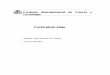 Curriculum vitae - Arca Comunis Irune Fiz.pdf · 2012-04-10 · Comisión Interministerial de Ciencia y Tecnología Curriculum vitae ... por medio de palabras claves, de la especialización