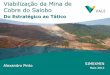 Viabilização da Mina de Cobre do Salobo · Agenda Estratégia da Vale em Cobre e Aprendizado Mina do Sossego Descrição e Soluções para Viabilidade do Projeto Salobo Situação