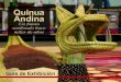 Andina QUINUA ANDINA - bolivianembassy.co.uk · en la región Andina . de Bolivia, Colombia, Ecuador y Perú, donde fue exitosamente ... de alimentación, que representa la unión