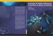 Evaluación de impacto ambiental de acuicultura en jaulas ... Jaulas.pdf · Evaluación de impacto ambiental de acuicultura en jaulas en Canarias Coordinadores José Manuel Vergara