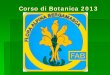 Corso di Botanica 2013 - Flora Alpina Bergamasca · anatomia essenziale: corpo diviso in radice, fusto, foglia ... Opuntia ficus-indica. Fanerofita . Fanerofita succulenta (P succ)