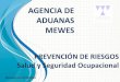 AGENCIA DE ADUANAS MEWES - portal.mewes.clportal.mewes.cl/sites/default/files/page/field_adjunto/derecho_a... · según labor a desempeñar: ADMINISTRATIVOS. Riesgo Laboral: Caída