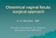 Obstetrical vaginal fistula: surgical approach - gfmer.ch · Obstetrical vaginal fistula: surgical approach C-H Rochat, MD Geneva Foundation for Medical Education and Research. Definition