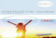 ENERGETIK–GUIDE · ENTGELTLICHE EINSCHALTUNG Energetik Guide 3 W ir freuen uns sehr, Ihnen bereits den vierten OÖ Energe-tik Guide in Zusammenarbeit mit den Oberösterreichischen