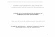 FEDERACION ARGENTINA DE CONSEJOS PROFESIONALES … · Proyecto Nº 40 de Resolución Técnica XX - Marco Conceptual e Informe para Plan de Negocios 1 FEDERACION ARGENTINA DE CONSEJOS