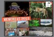MEMORIAS 2013 - awsassets.wwfar.panda.orgawsassets.wwfar.panda.org/downloads/memorias_final_17oct.pdf · Presentación el trabajo que realizamos para promover una ganadería sustentable