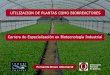Presentación de PowerPointbiotecnologiaindustrial.fcen.uba.ar/wp-content/uploads/2010/04/E4a... · - Biofármacos-Otras aplicaciones. Las plantas como biorreactores Sistemas de producción