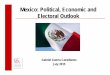 Mexico: Political, Economic and Electoral Outlook · Mexico: Political, Economic and Electoral Outlook Gabriel Guerra Castellanos July 2015