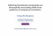 Inferring functional constraints on Drosophila noncoding ... Inferring functional constraints on
