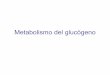 Metabolismo del glucógenoMetabolismo del glucógeno · Control del metabolismo del glucógenoControl del ... • La hormona insulina provoca la desfosforilación de las enzimas,