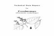 Condurango - Raintree Nutrition, Inc. · Condurango is a tropical woody vine that can be found in the high mountain jungles and cloud ... dyspepsia, gastralgia, gastritis, neuralgia,