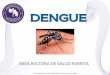 DENGUE - mep.go.cr · • El conocimiento no es suficiente: a pesar de niveles crecientes del conocimiento y la toma de conciencia acerca del dengue y los mosquitos, mucha gente …