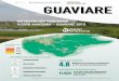 INTERVENCIÓN PROGRAMA VISIÓN AMAZONÍA - GUAVIARE … · Proyecto: Estrategia de fortalecimiento del gobierno propio y manejo tradicional del ... invernadero por deforestación