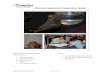 Mammal Specimen Preparation Guideaccumulatus.com/images/MammalSpecimenPreparationGuide.pdf · 2017-10-01 · Mammal Specimen Preparation Guide |1 P a g e ... Using forceps or fingers,