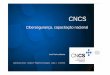 Cibersegurança, capacitação nacional - AFCEA Portugal · • Capacitação Tecnológica • Processos • Prevenção & Reação CSIRT Entidade Entidade Entidade Entidade Entidade