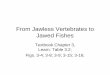 From Jawless Vertebrates to Jawed Fishesbrtc.tamu.edu/files/2012/06/Jawless-Vertebrates-Compatibility-Mode... · From Jawless Vertebrates to Jawed Fishes Textbook Chapter 3, Learn: