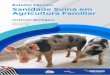 Boletim Técnico Sanidade Suína em Agricultura Familiar · Ricas e essenciais informações sobre questões determinantes para uma produção de excelência como controle de roedores