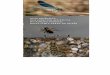 Guía didáctica dos insectos acuáticos do Parque Natural ... · No leito a corrente é moito menor que en superficie debido ao rozamento da auga coas pedras sumerxidas. Isto permite