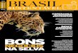 2011 Brasil - CEBDS - Conselho Empresarial Brasileiro para ...cebds.org/wp-content/uploads/2014/02/Brasil-Sustentavel-Ed.-32-Fev... · Carlos eduardo Garrocho de almeida ... Lia Lombardi