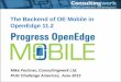 The Backend of OE Mobile in OpenEdge 11pugchallenge.org/downloads2013/262_OE_Mobile_Backend.pdf · The Backend of OE Mobile in OpenEdge 11.2 Mike Fechner, Consultingwerk Ltd. PUG