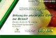 Situação atual das CSFI no Brasil - agricultura.gov.br · no Brasil Álvaro Ávila do N ... extensão rural Associações e ... ora r s a a ta a á o ó e ho e o o a o a o hu e