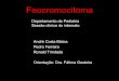 FEOCROMOCITOMA - medicina.ufba.br · • Figuras retiradas da Home Page do Departamento de Anatomia Patológica da Faculdade de Medicina de Campinas (UNICAMP) Title: FEOCROMOCITOMA